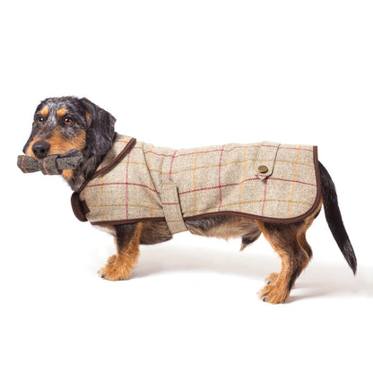 Tweedmill Textiles Tweed Dog Coat Olive Small | Tweedmill Textiles | Miss Arthur | Home Goods | Tasmania