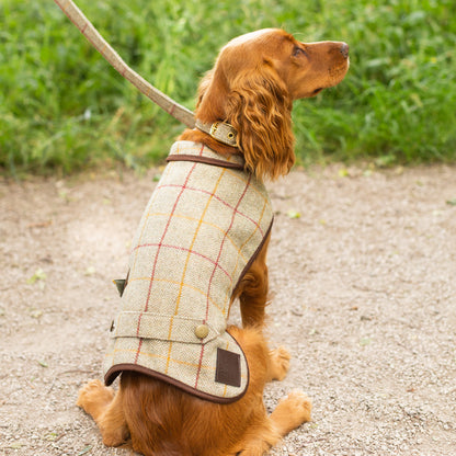 Tweedmill Textiles Tweed Dog Coat Olive X-Small | Tweedmill Textiles | Miss Arthur | Home Goods | Tasmania